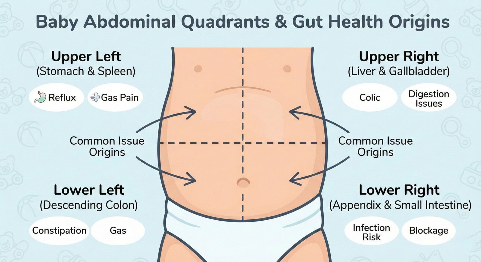 Diagram of abdominal quadrants showing where gut health issues often originate